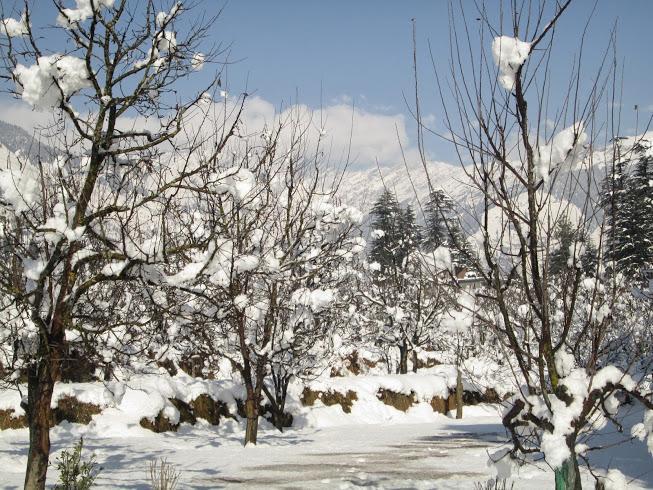 Treebo Trend Celebriti Manali Hotel Vashist ภายนอก รูปภาพ